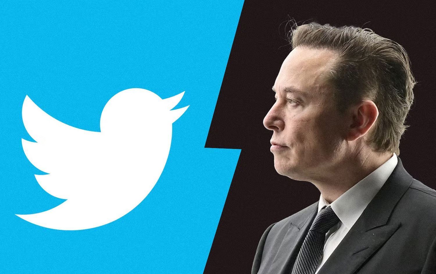 Elon Musk açıkladı! Twitter bu sözleri yasaklıyor