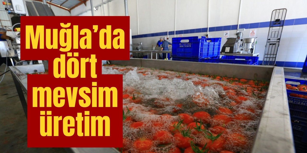 Muğla’da dört mevsim üretim
