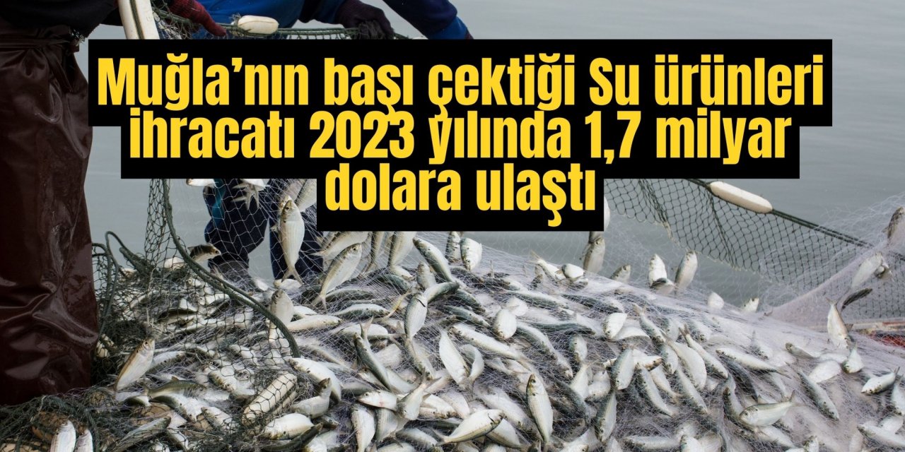 Muğla’nın başı çektiği Su ürünleri ihracatı 2023 yılında 1,7 milyar dolara ulaştı