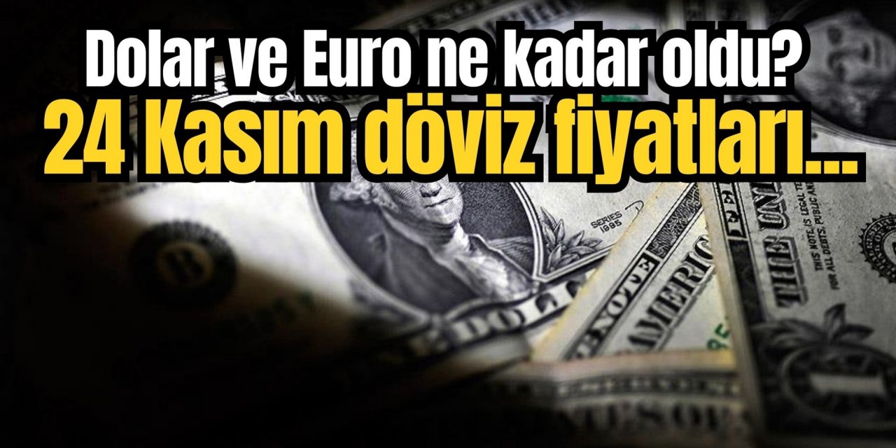 Dolar ve Euro fiyatları ne kadar oldu? 24 Kasım döviz fiyatları...