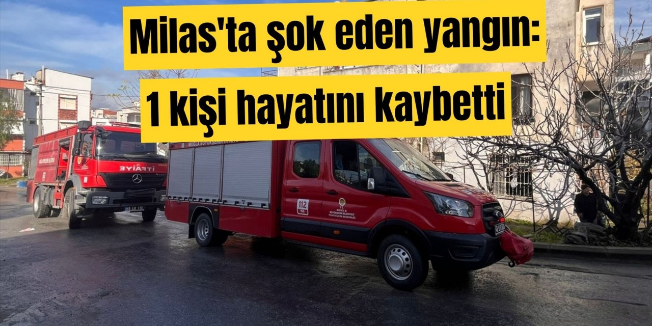 Milas'ta şok eden yangın: 1 kişi hayatını kaybetti
