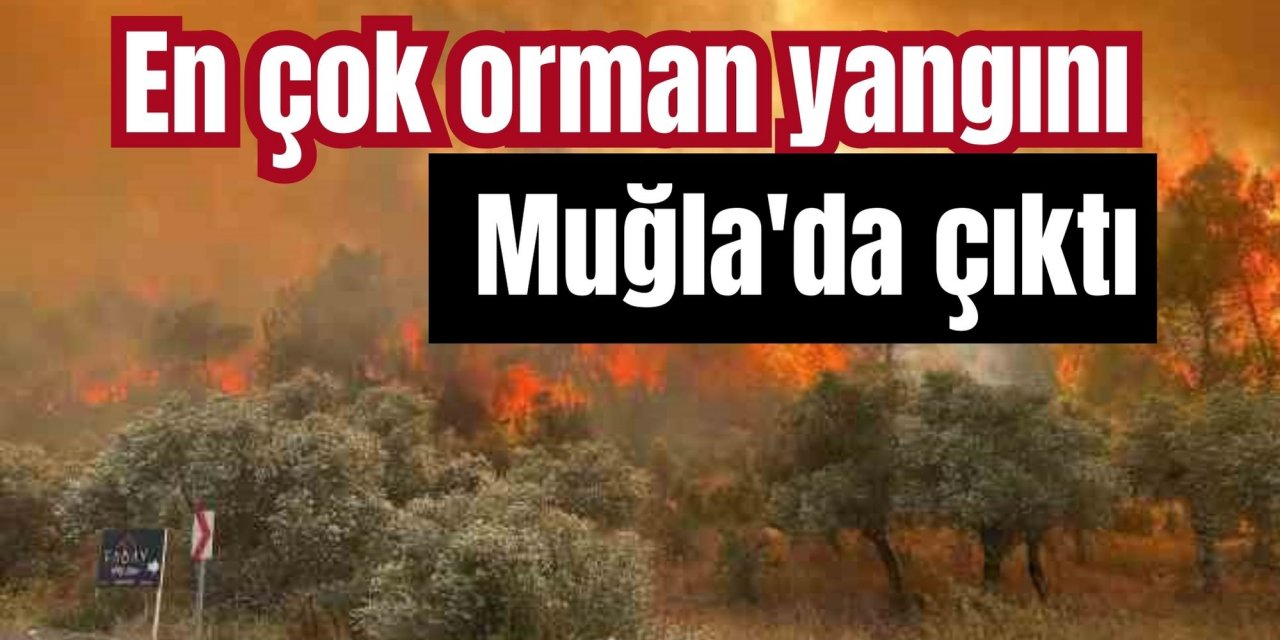 En çok orman yangını Muğla'da çıktı