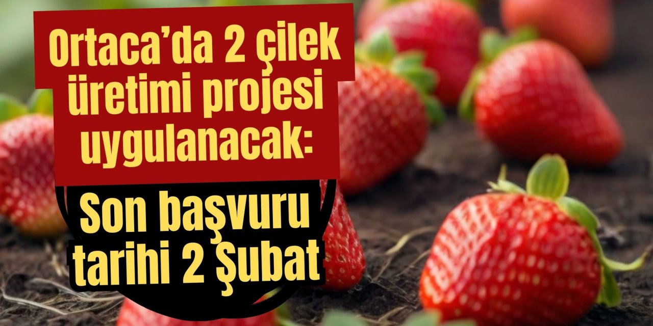 Ortaca’da 2 çilek üretimi projesi uygulanacak: Son başvuru tarihi 2 Şubat