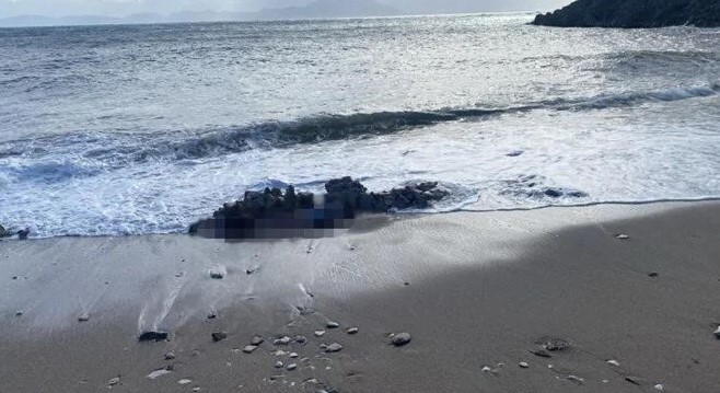 Bodrum'da şoke eden olay! Denizde ve sahilde iki ceset bulundu