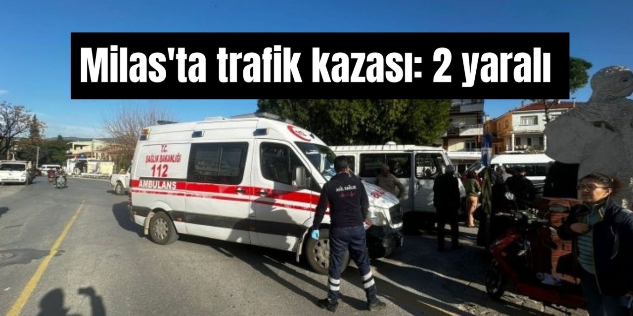 Milas'ta trafik kazası: 2 yaralı