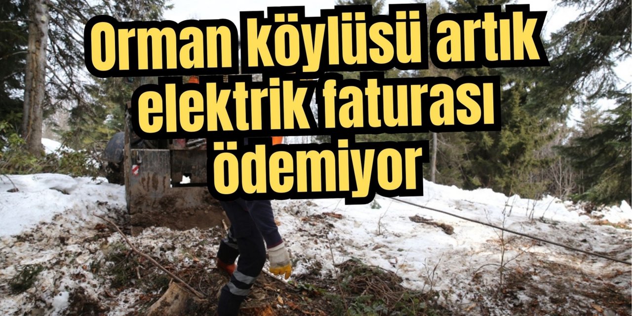 Orman köylüsü artık elektrik faturası ödemiyor