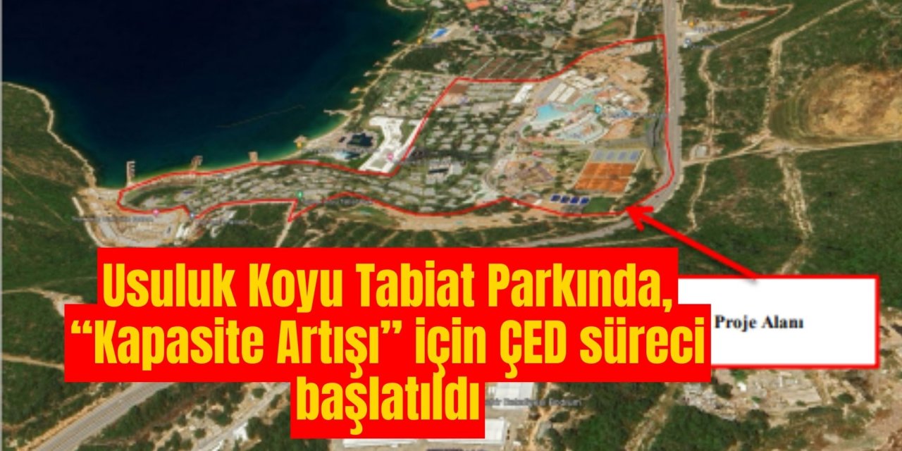 Usuluk Koyu Tabiat Parkında, “Kapasite Artışı” için ÇED süreci başlatıldı
