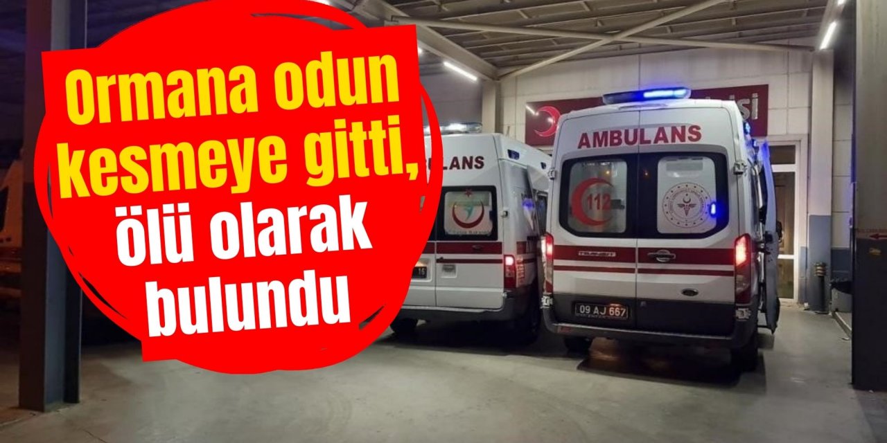 Ormana odun kesmeye gitti, ölü olarak bulundu