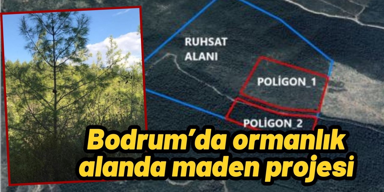 Bodrum’da ormanlık alanda maden projesi