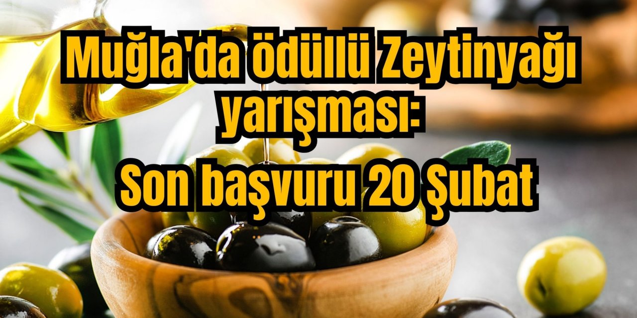 Muğla'da ödüllü Zeytinyağı yarışması: Son başvuru 20 Şubat