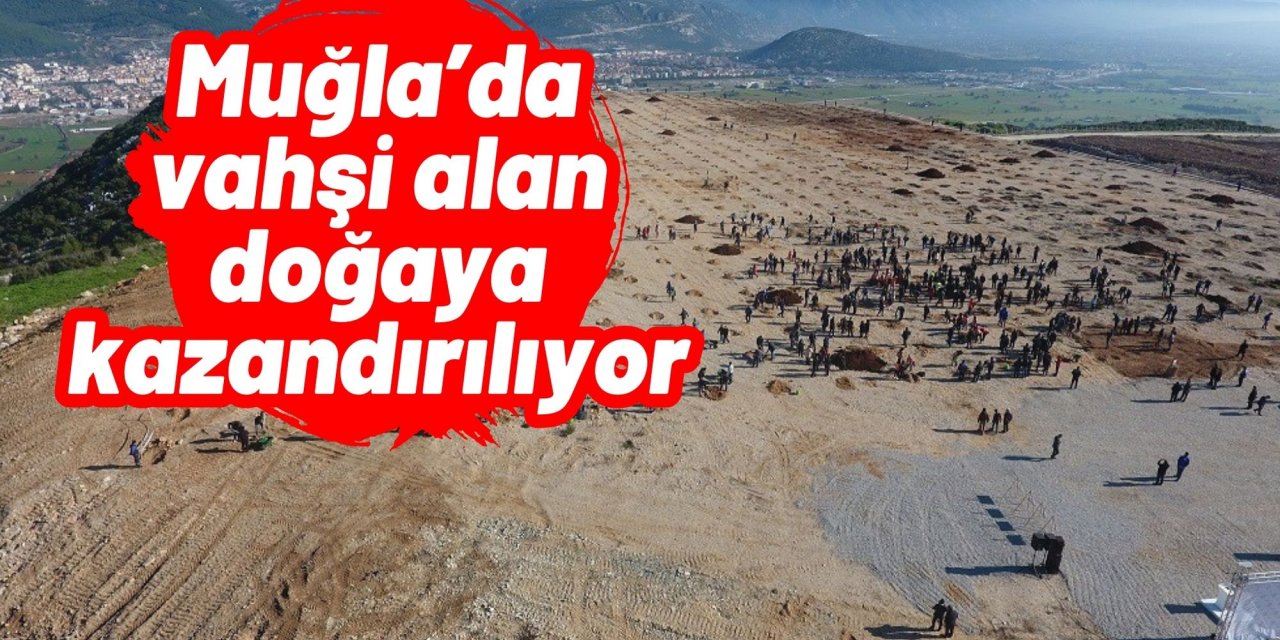 Muğla’da vahşi alan doğaya kazandırılıyor