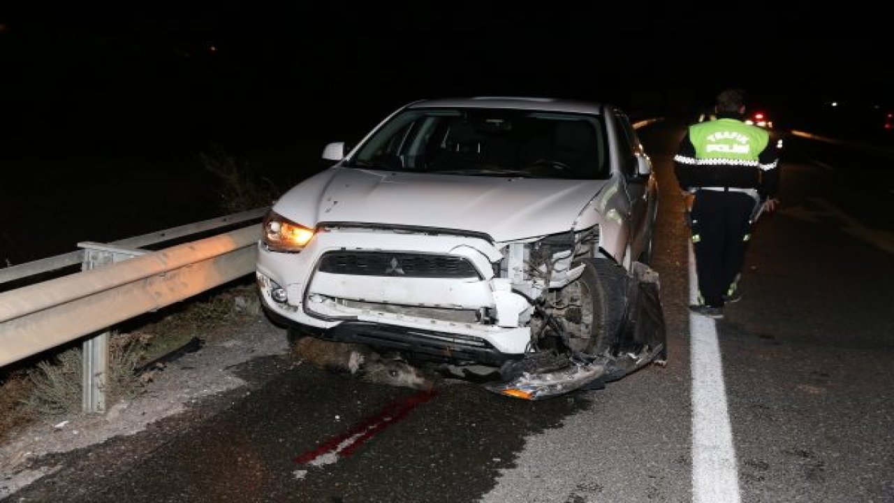 Otomobil domuz sürüsüne çarptı