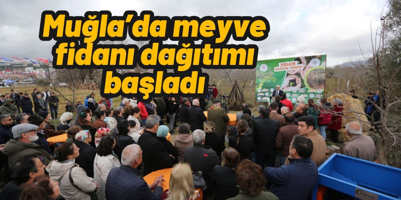 Muğla’da meyve fidanı dağıtımı başladı