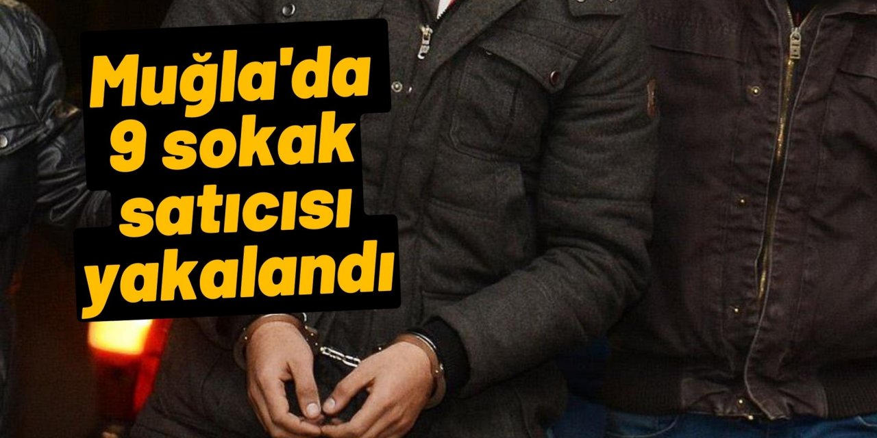 Muğla'da 9 sokak satıcısı yakalandı