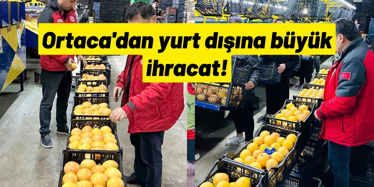 Ortaca'dan yurt dışına büyük ihracat!