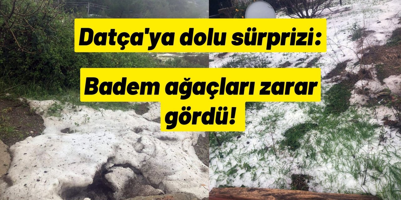 Datça'ya dolu sürprizi: Badem ağaçları zarar gördü!