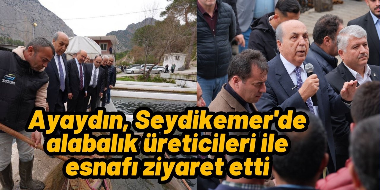 Ayaydın, Seydikemer'de alabalık üreticileri ile esnafı ziyaret etti