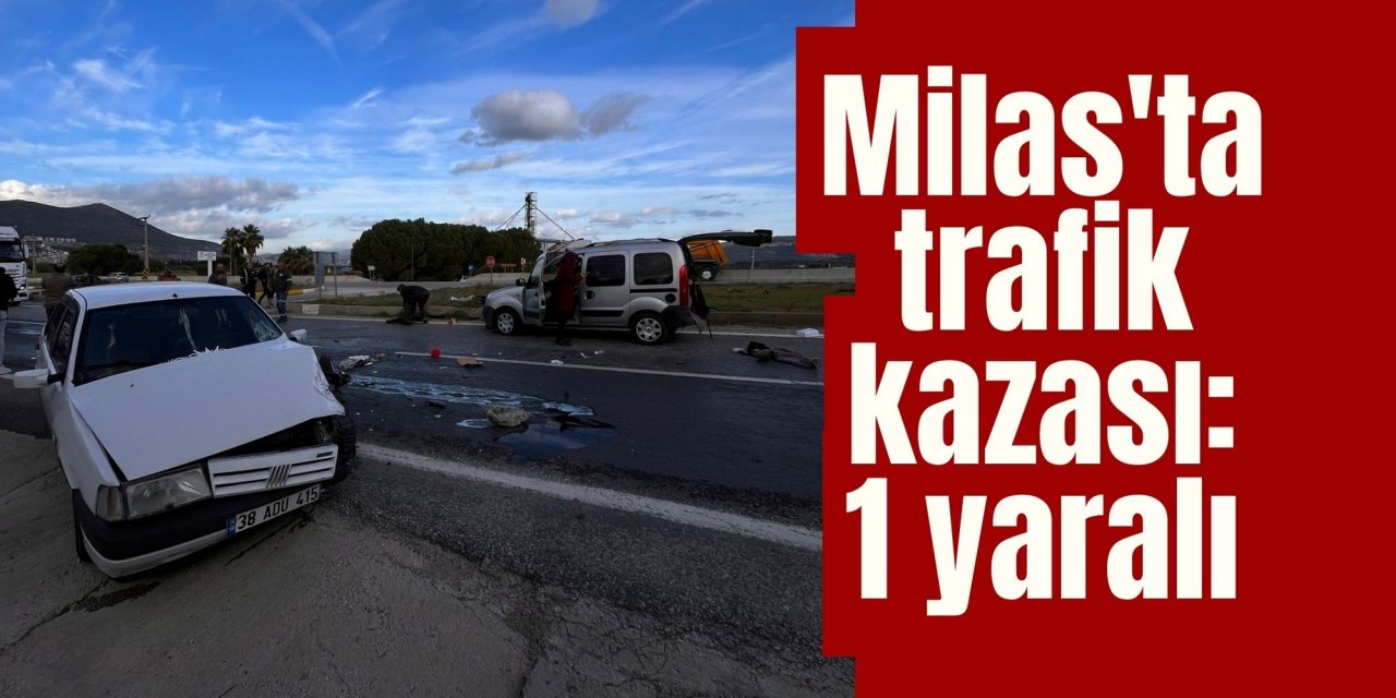 Milas'ta trafik kazası: 1 yaralı