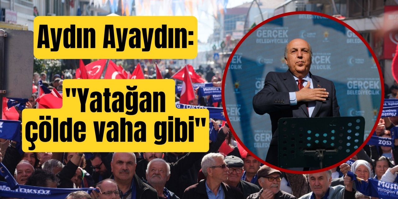 Aydın Ayaydın: 
