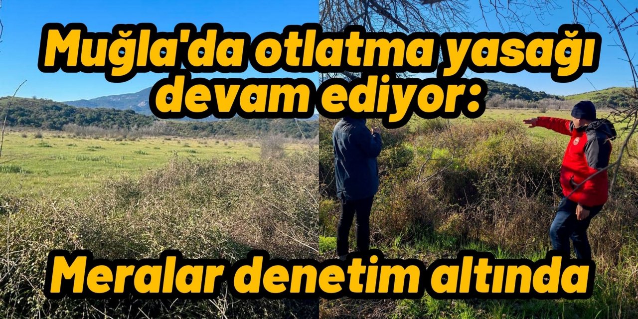 Muğla'da otlatma yasağı devam ediyor: Meralar denetim altında