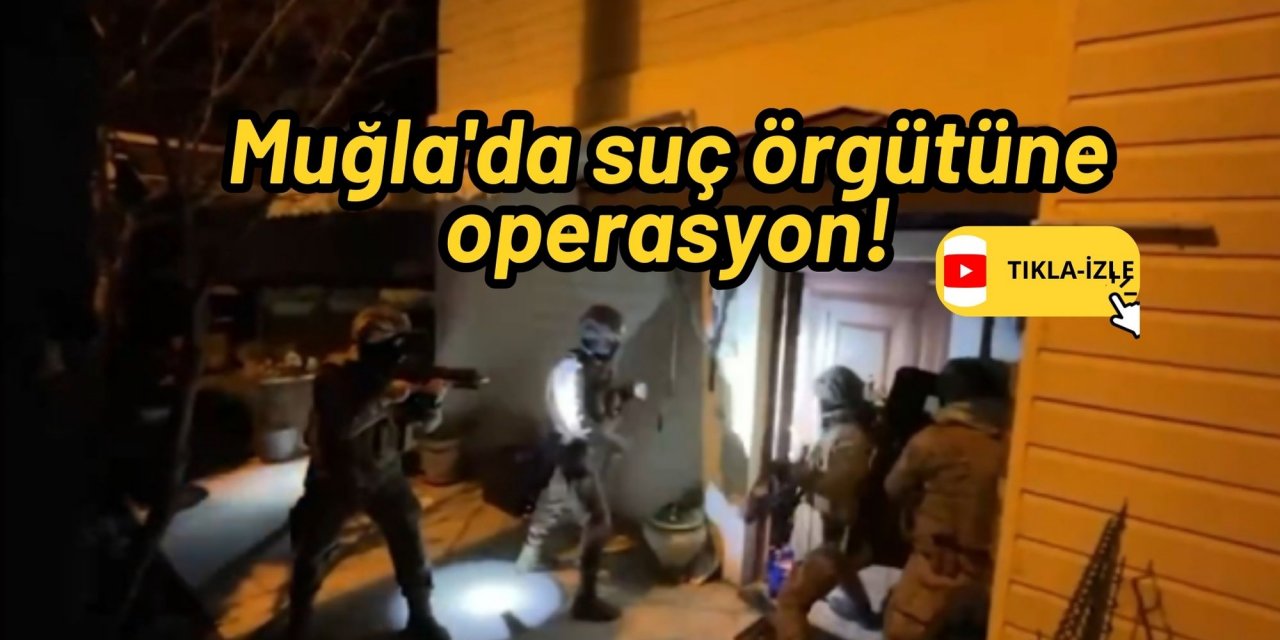 Muğla'da suç örgütüne operasyon!