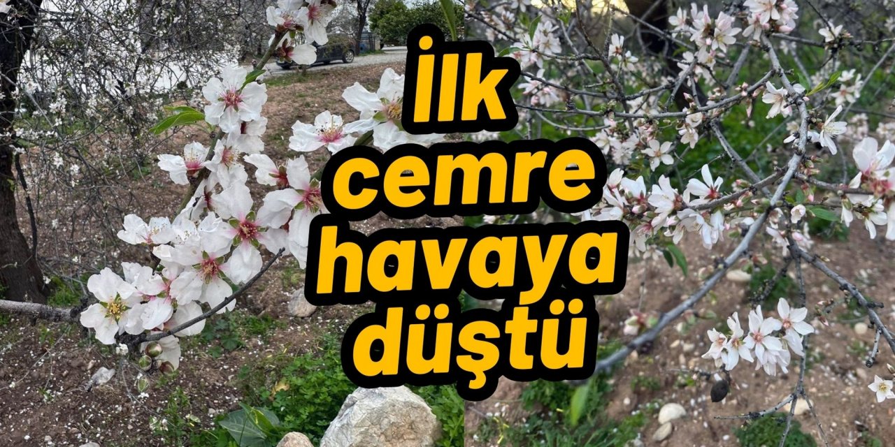 İlk cemre havaya düştü