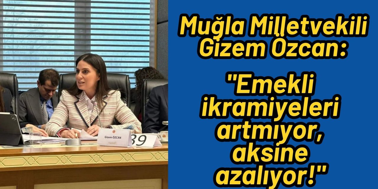Muğla Milletvekili Gizem Özcan: 