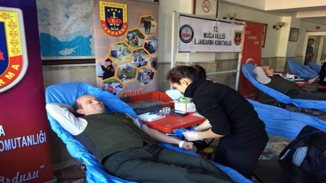 Muğla Jandarması kan verdi