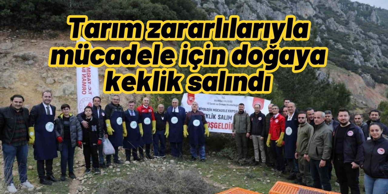 Tarım zararlılarıyla mücadele için doğaya keklik salındı