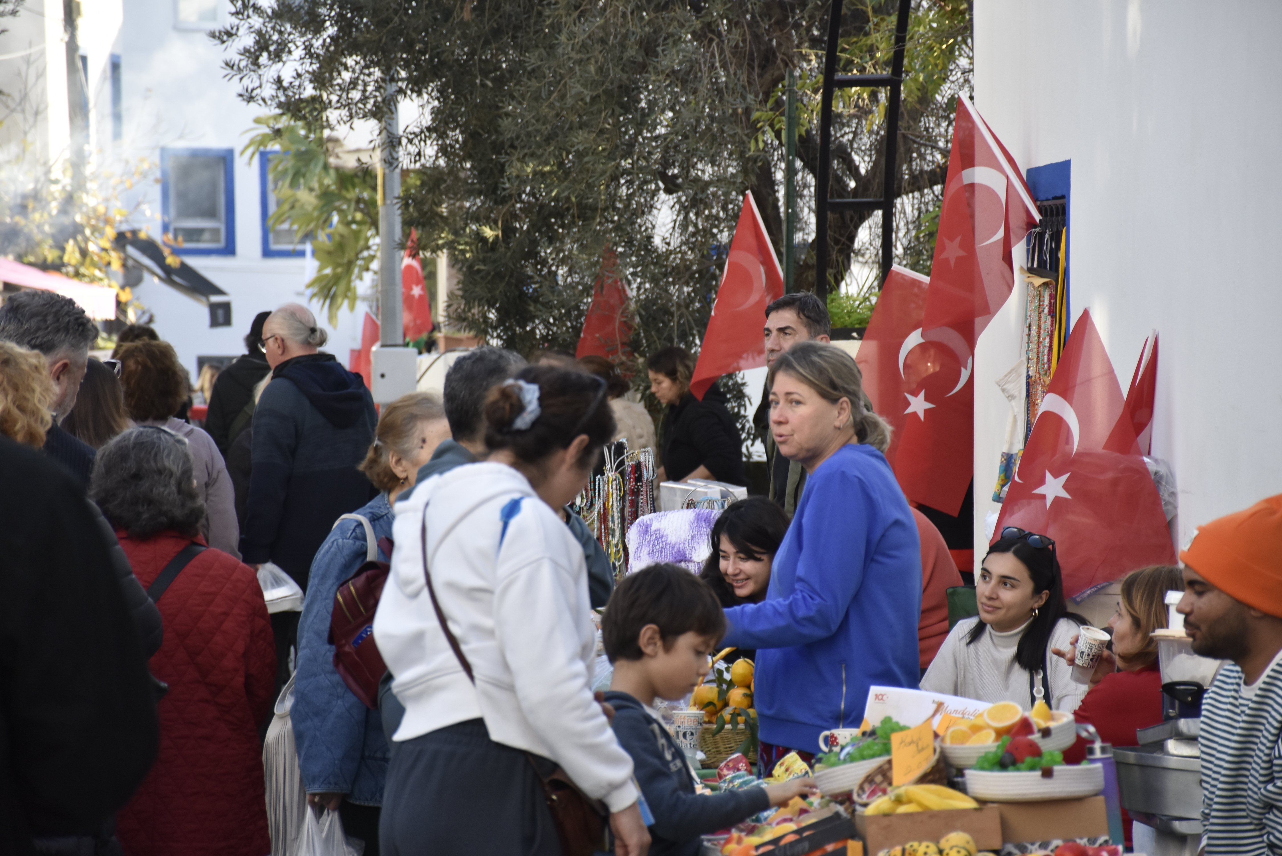 Muğla'da "Bodrum Mandalin Festivali" düzenlendi