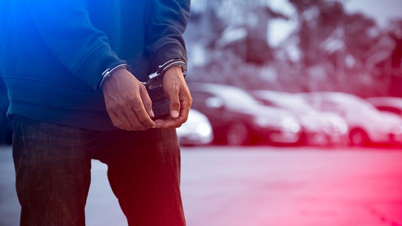 42 göçmen kaçakçılığı organizatörü ve 333 düzensiz göçmen yakalandı