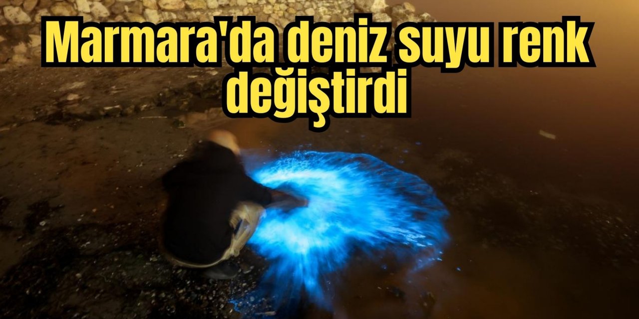 Marmara'da deniz suyu renk değiştirdi