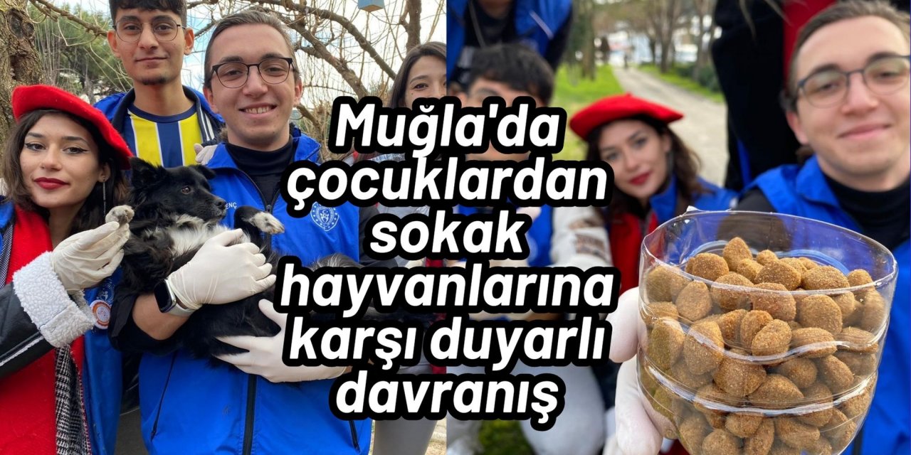 Muğla'da çocuklardan sokak hayvanlarına karşı duyarlı davranış