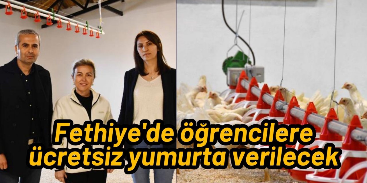 Fethiye'de öğrencilere ücretsiz yumurta verilecek