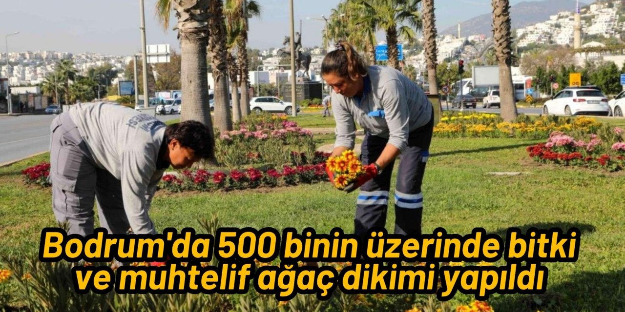 Bodrum'da 500 binin üzerinde bitki ve muhtelif ağaç dikimi yapıldı