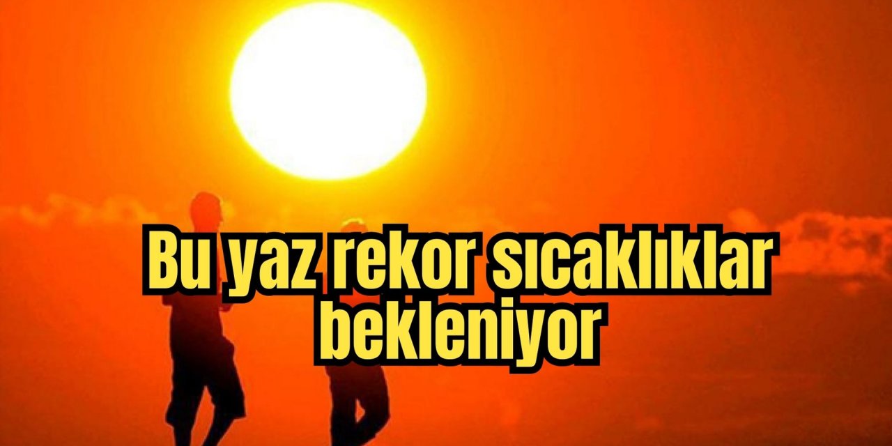 Bu yaz rekor sıcaklıklar bekleniyor