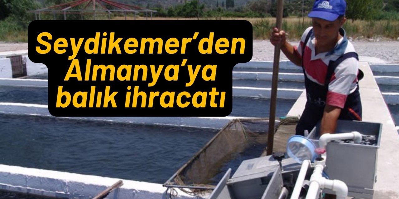 Seydikemer’den Almanya’ya balık ihracatı