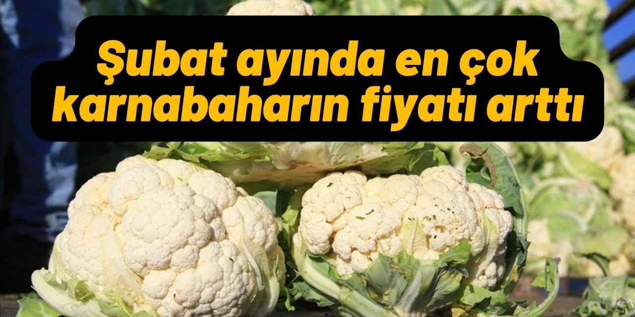 Şubat ayında en çok karnabaharın fiyatı arttı