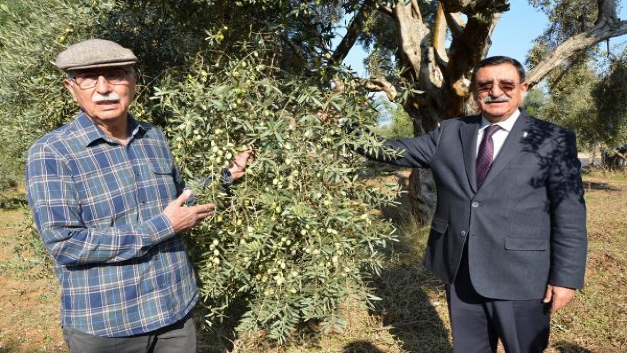 Halkalı lekeyle mücadelede