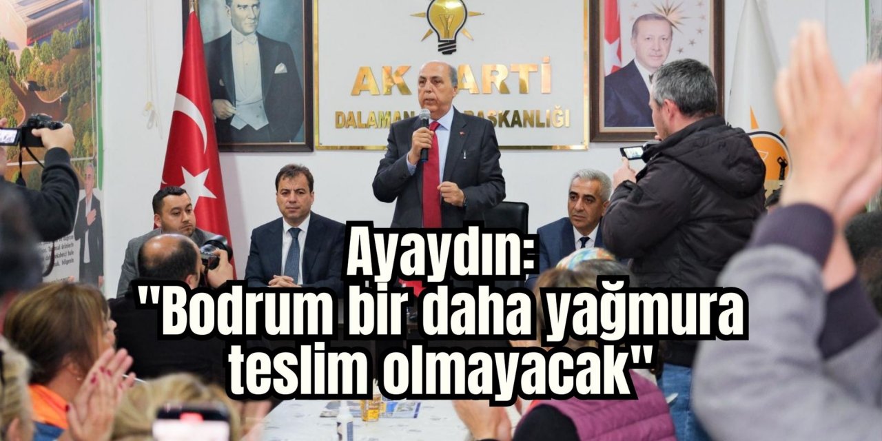 Ayaydın: 