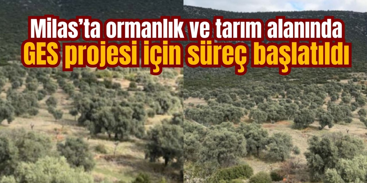 Milas’ta ormanlık ve tarım alanında GES projesi için süreç başlatıldı