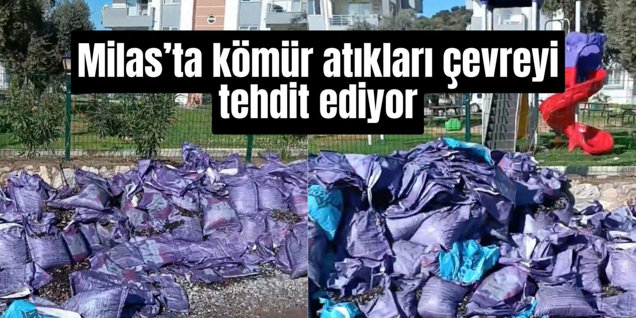 Milas’ta kömür atıkları çevreyi tehdit ediyor