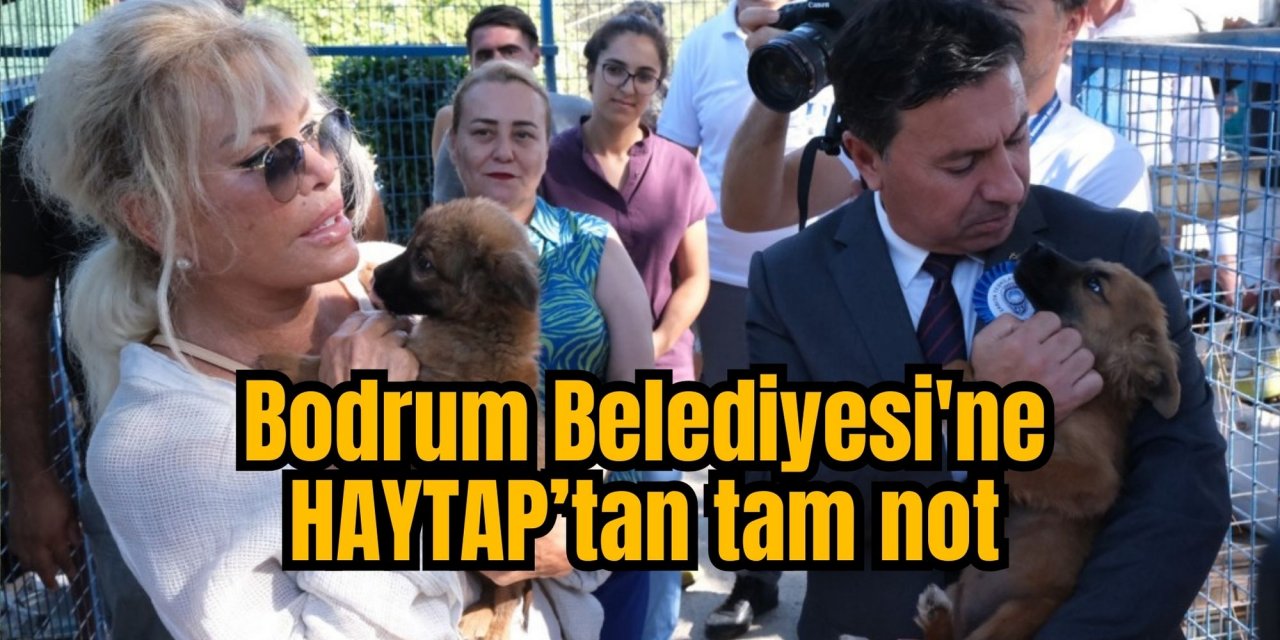 Bodrum Belediyesi'ne HAYTAP’tan tam not
