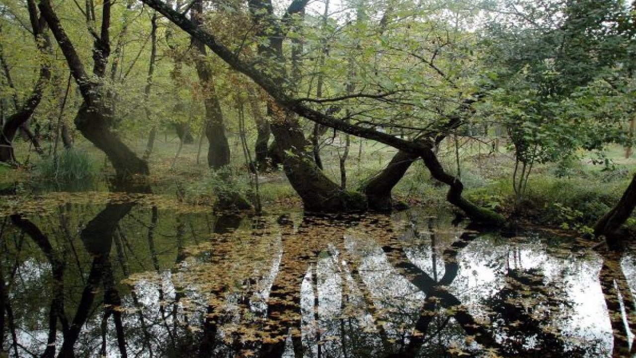 Günnücek sonbaharda başka güzel