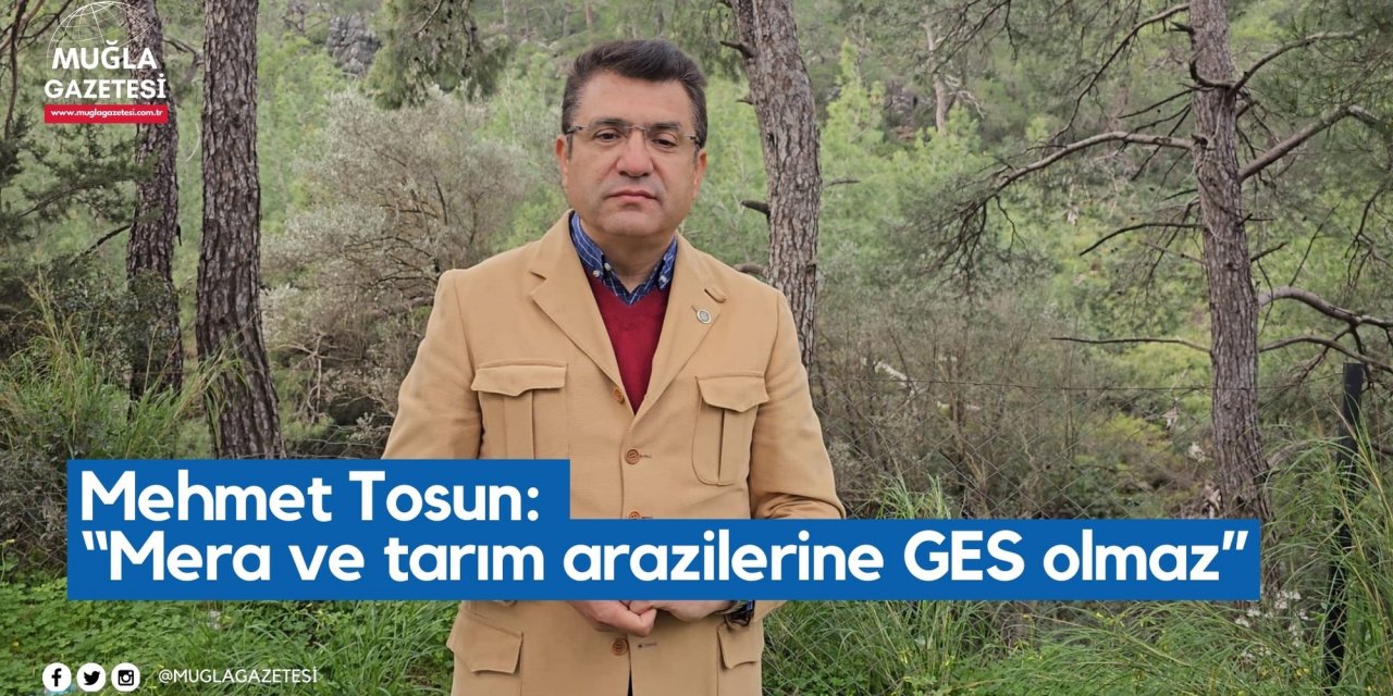Mehmet Tosun: “Mera ve tarım arazilerine GES olmaz”