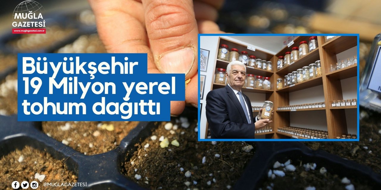 Büyükşehir 19 Milyon yerel tohum dağıttı
