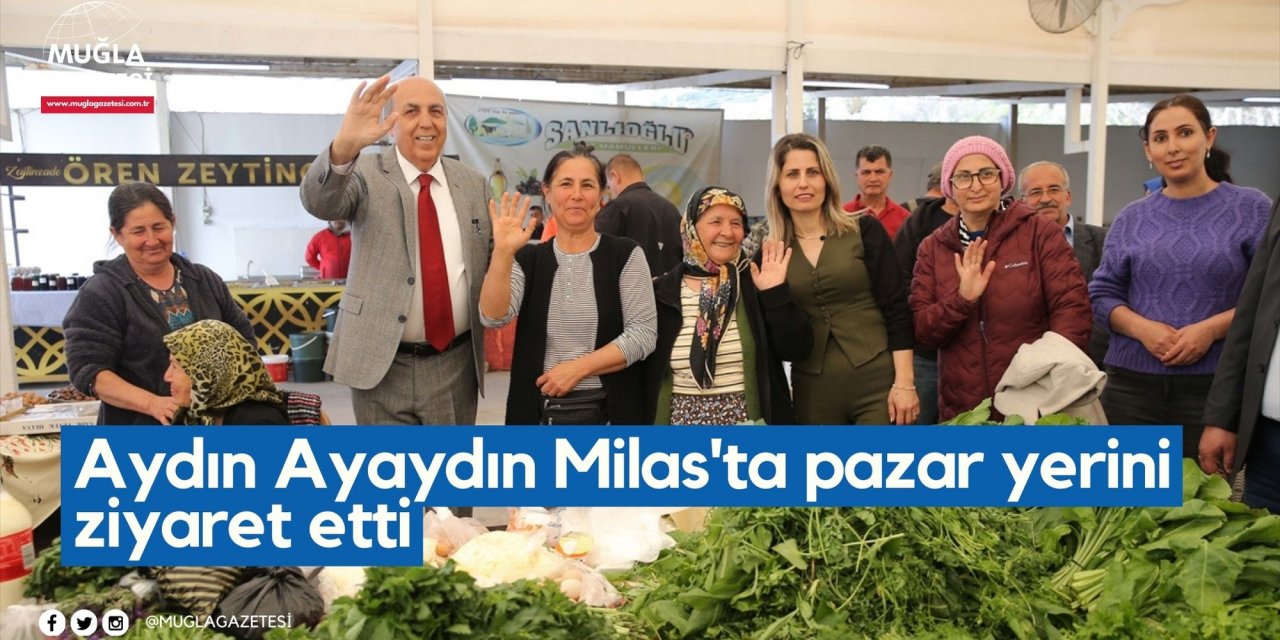 Aydın Ayaydın Milas'ta pazar yerini ziyaret etti