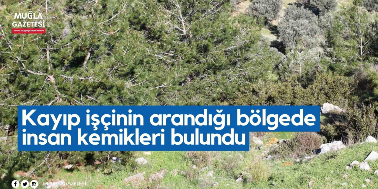 Kayıp işçinin arandığı bölgede insan kemikleri bulundu