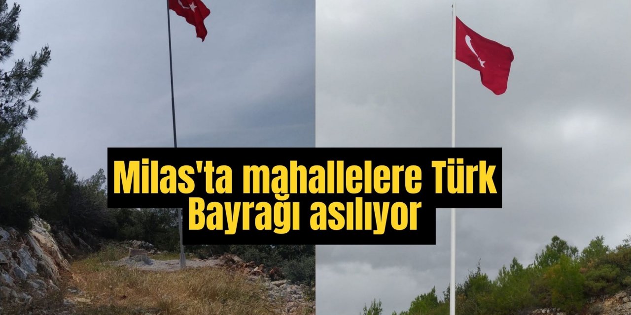 Milas'ta mahallelere Türk Bayrağı asılıyor