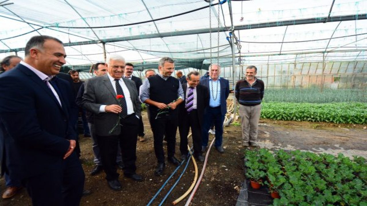 Muğla’nın Çiçeklerini Üreten Çiçekler